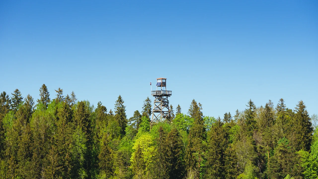 Augstskatu tornis Latvijas mežos, kas simbolizē modrību un drošību ārkārtas situācijās.