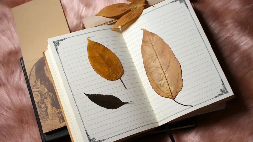 Epiktēts par to, ko varam ietekmēt, plānojot rudens dienu