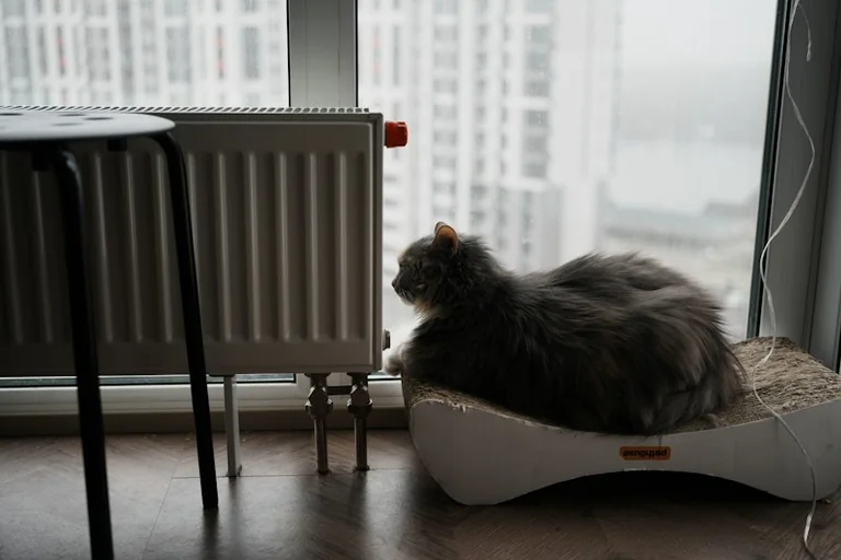 Kā pārbaudīt logus un radiatorus pirms aukstā laika
